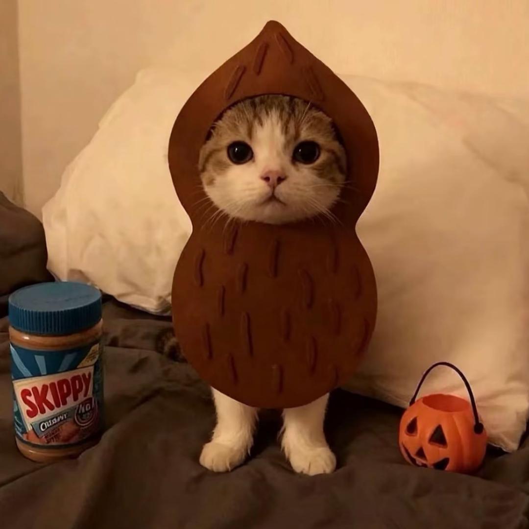 我吃饱了就躺着