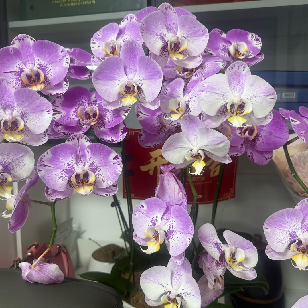 ×心❤️❤️❤️