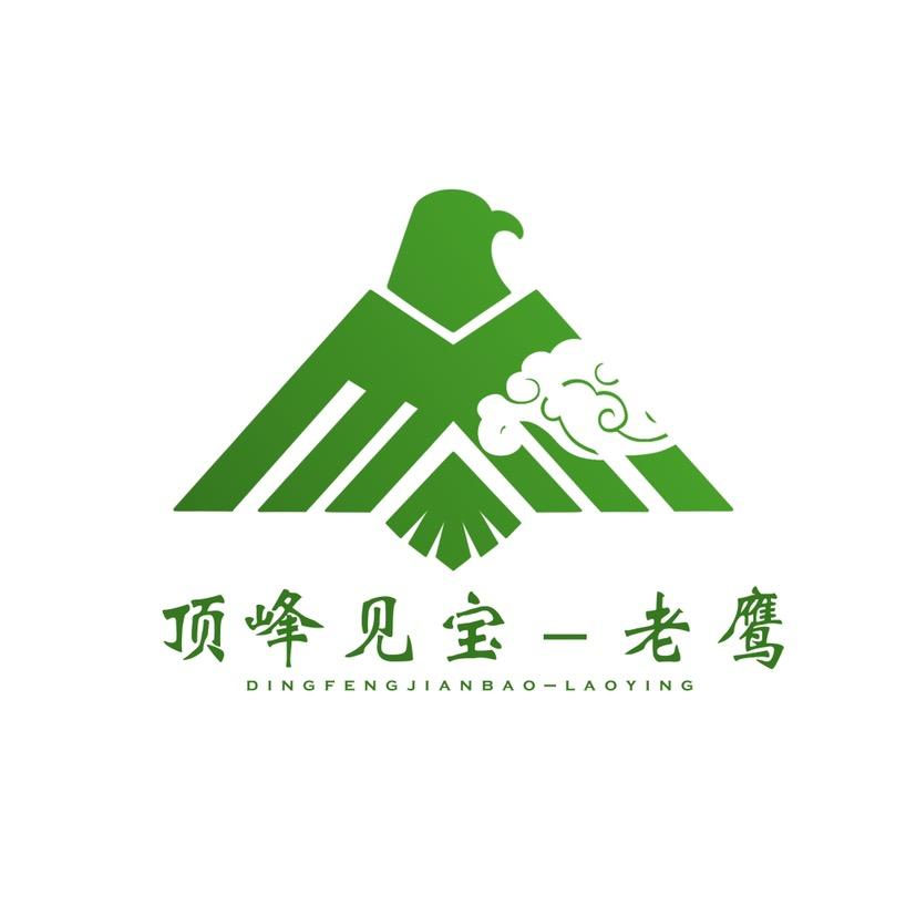 顶峰见宝-老鹰