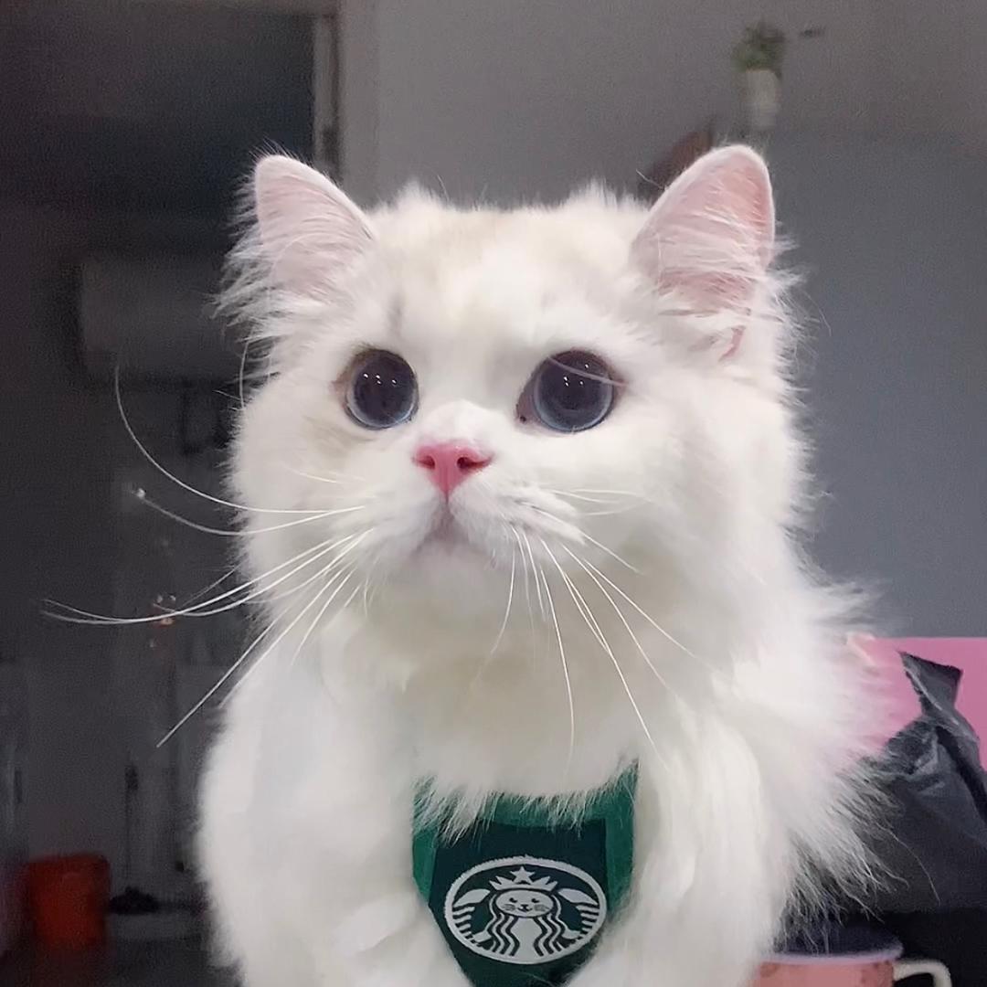 giao仔爱六一@抖音