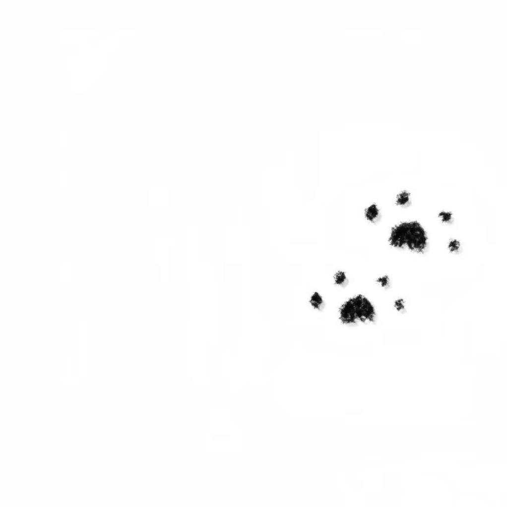 故意写给我鼓励名字匿名 匿名