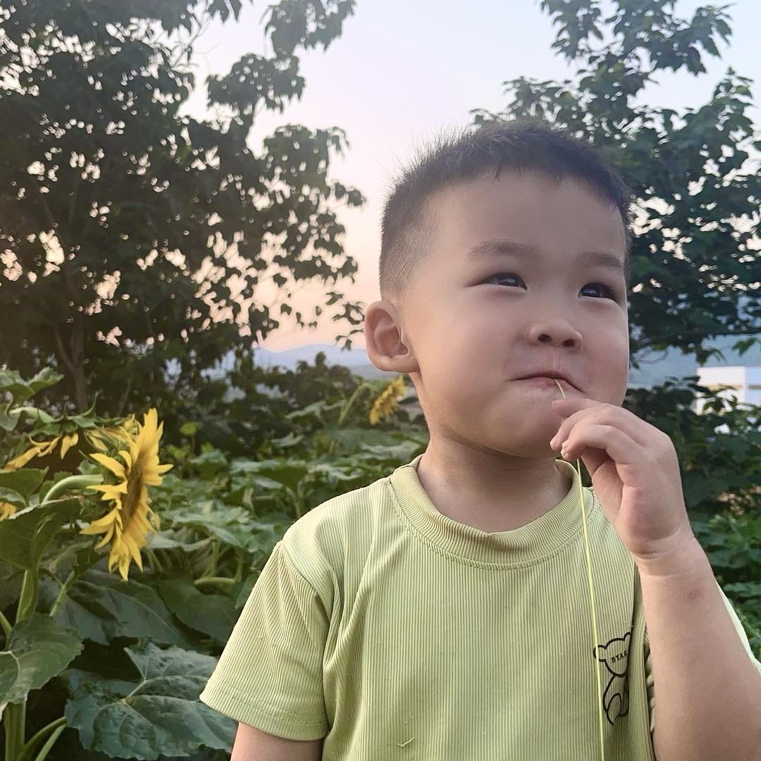 万般努力