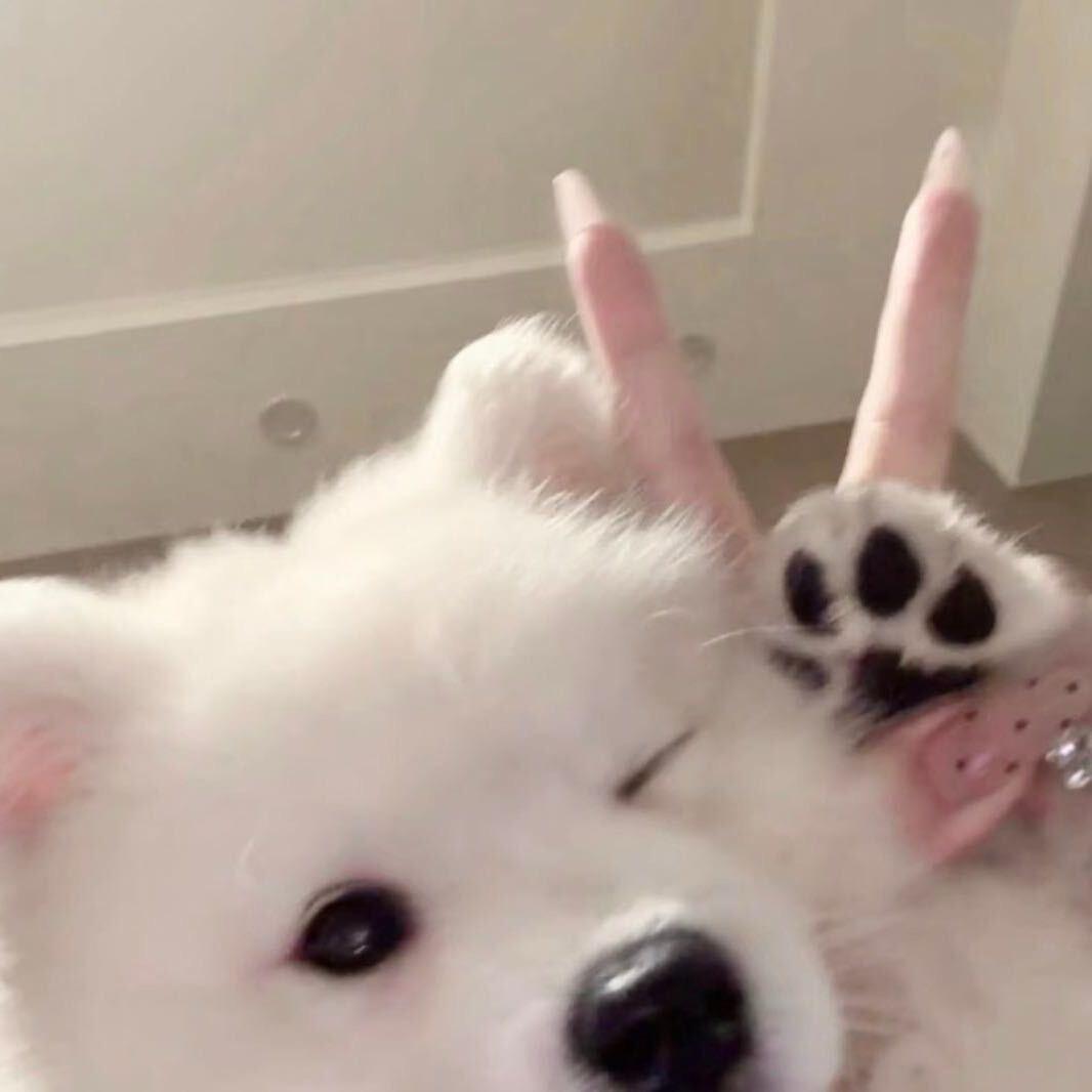 含一宁
