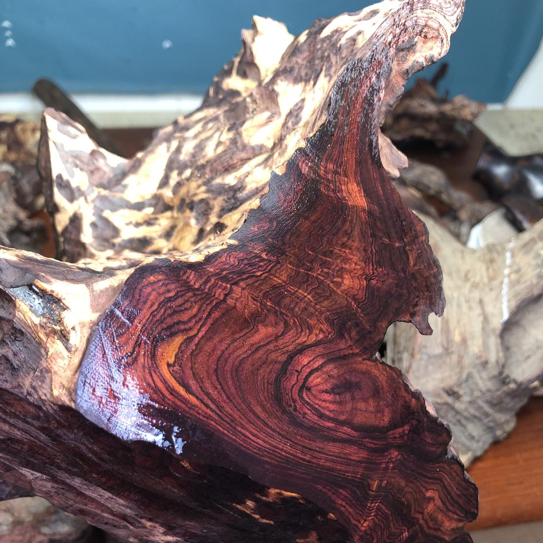 名木海南黄花梨