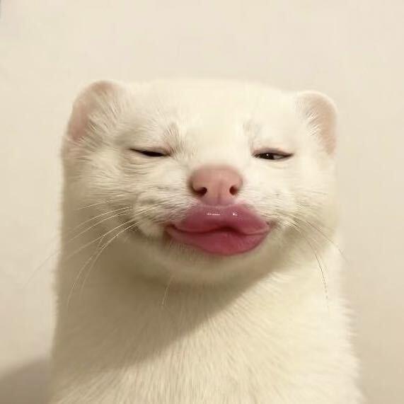 月半