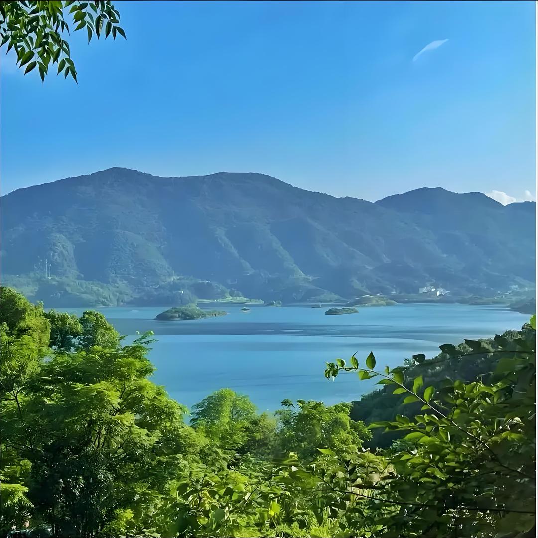 永军