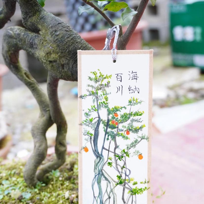 敏子慧金弹子
