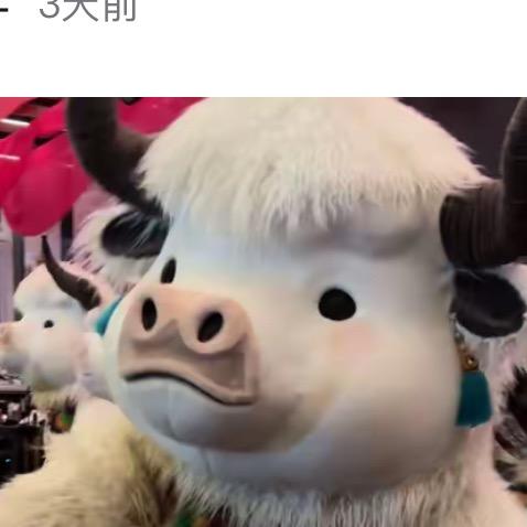 巧克李🍫