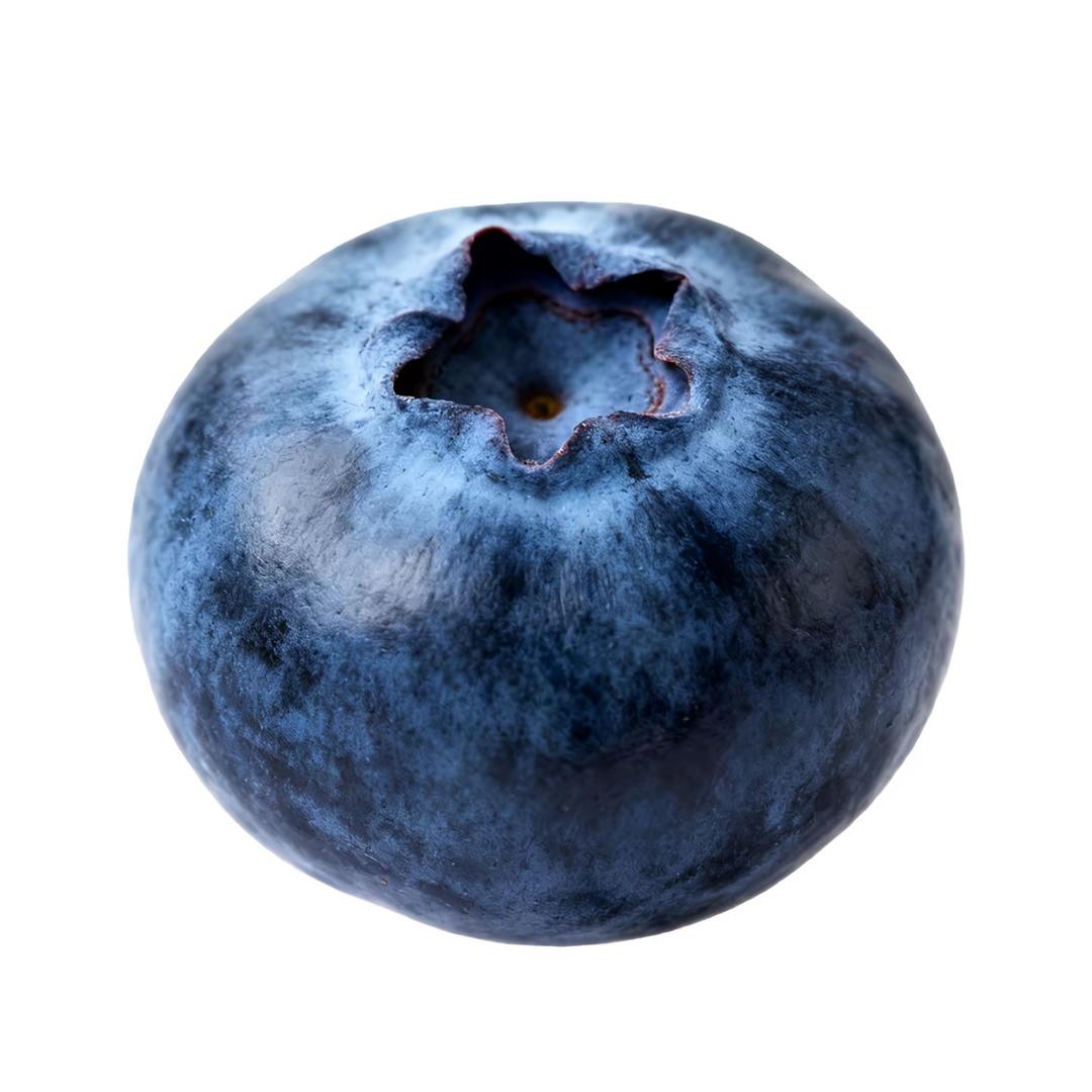 蓝莓