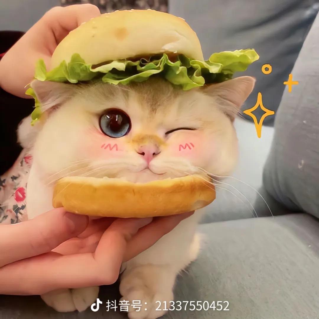 衣品世家❤️
