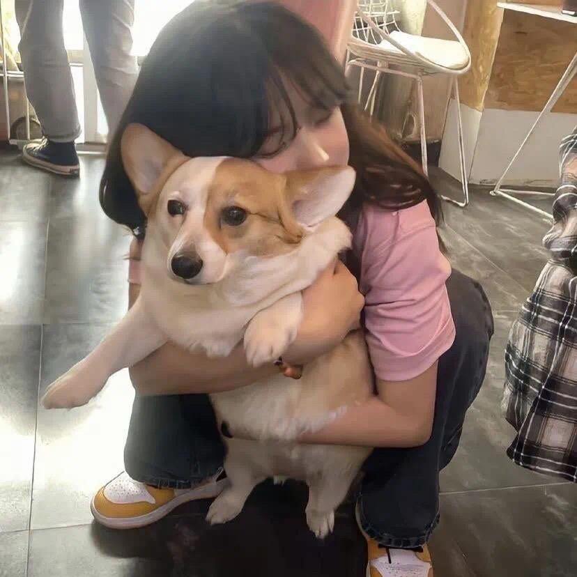 琪^