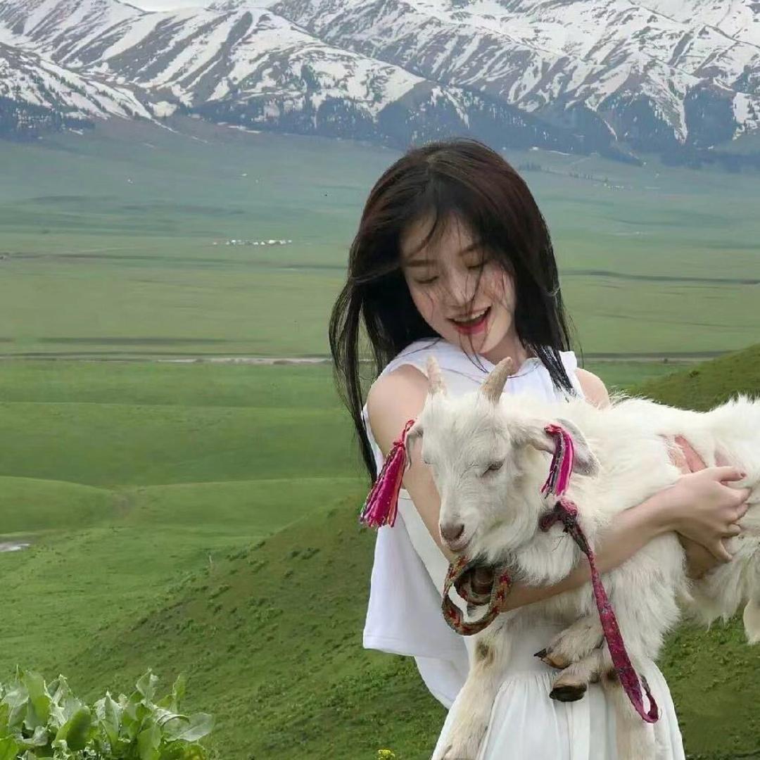 修图师(在线接单）头像