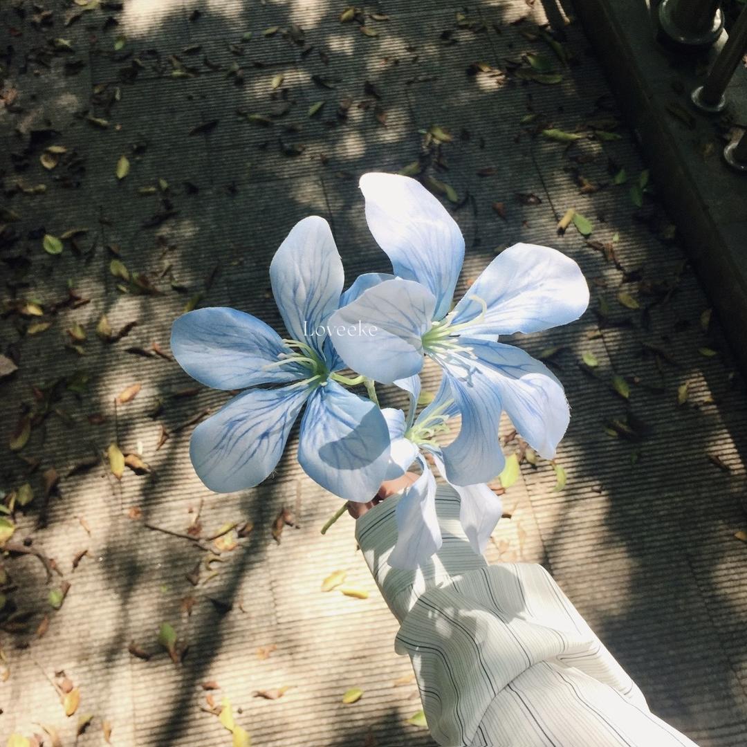 板烧鸡腿堡头像