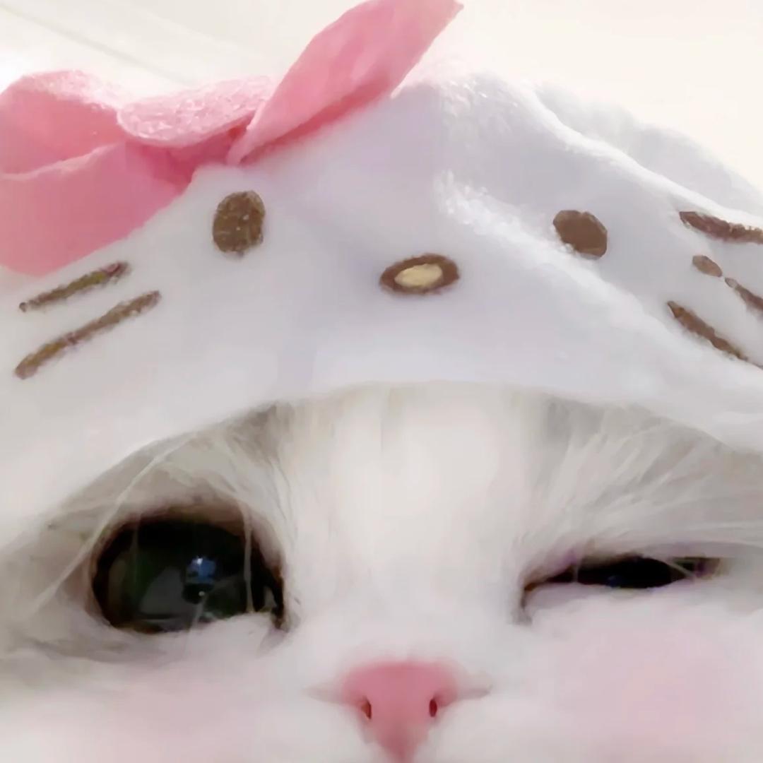 我不是宇奇
