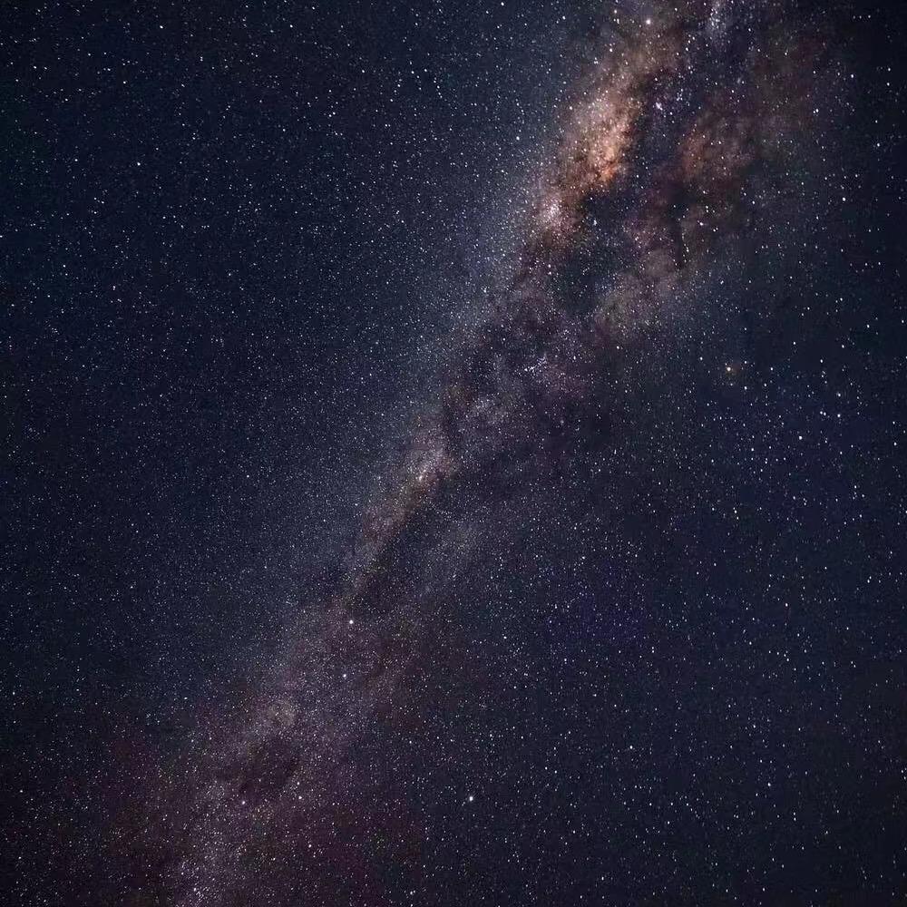 如影随形-