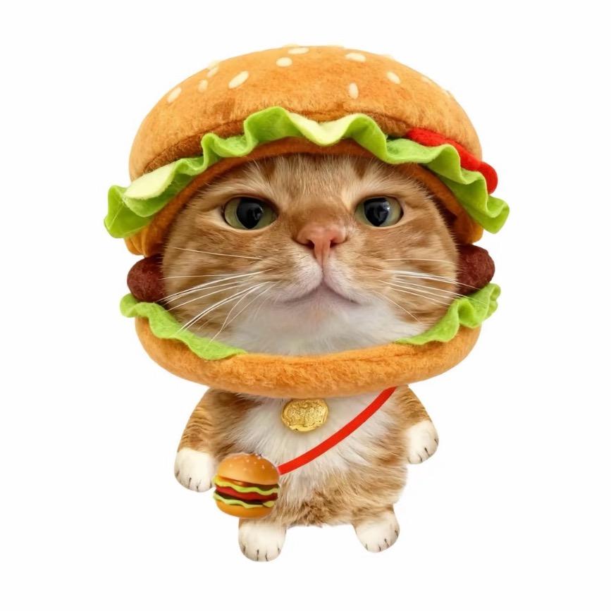 我是迪迦的姐姐不要相信他请相信我