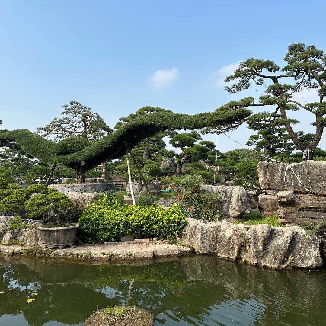 森林伐木