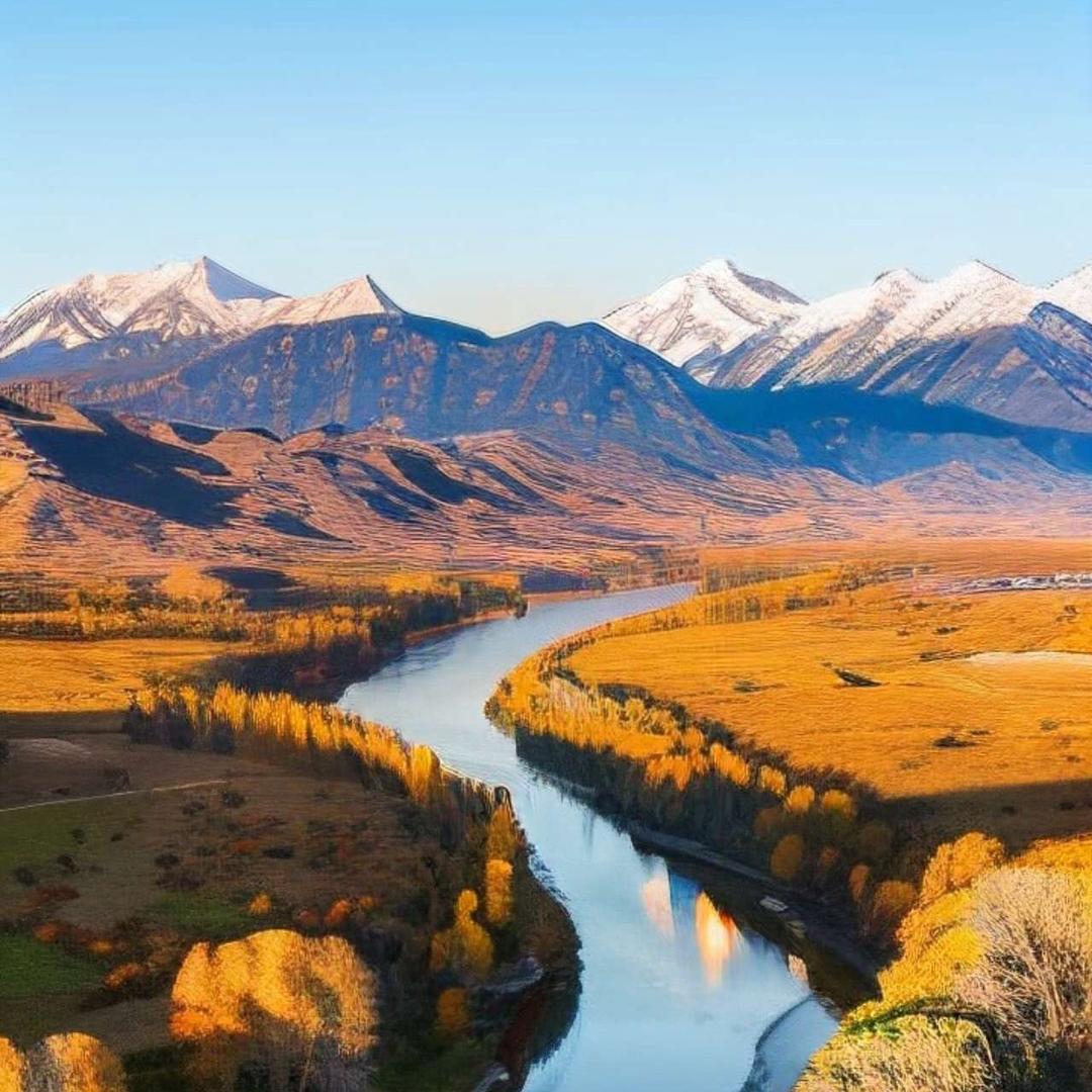 一直干的赵老板