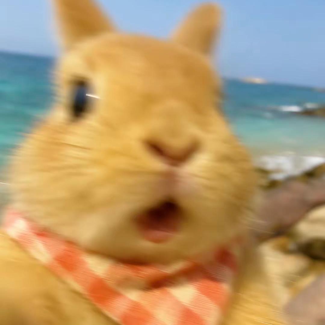 lynnnnnnnn