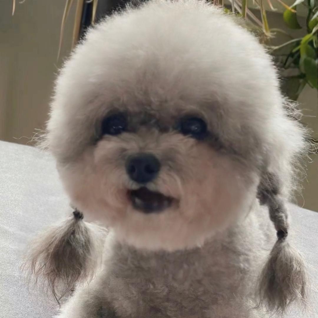 果果和麻麻