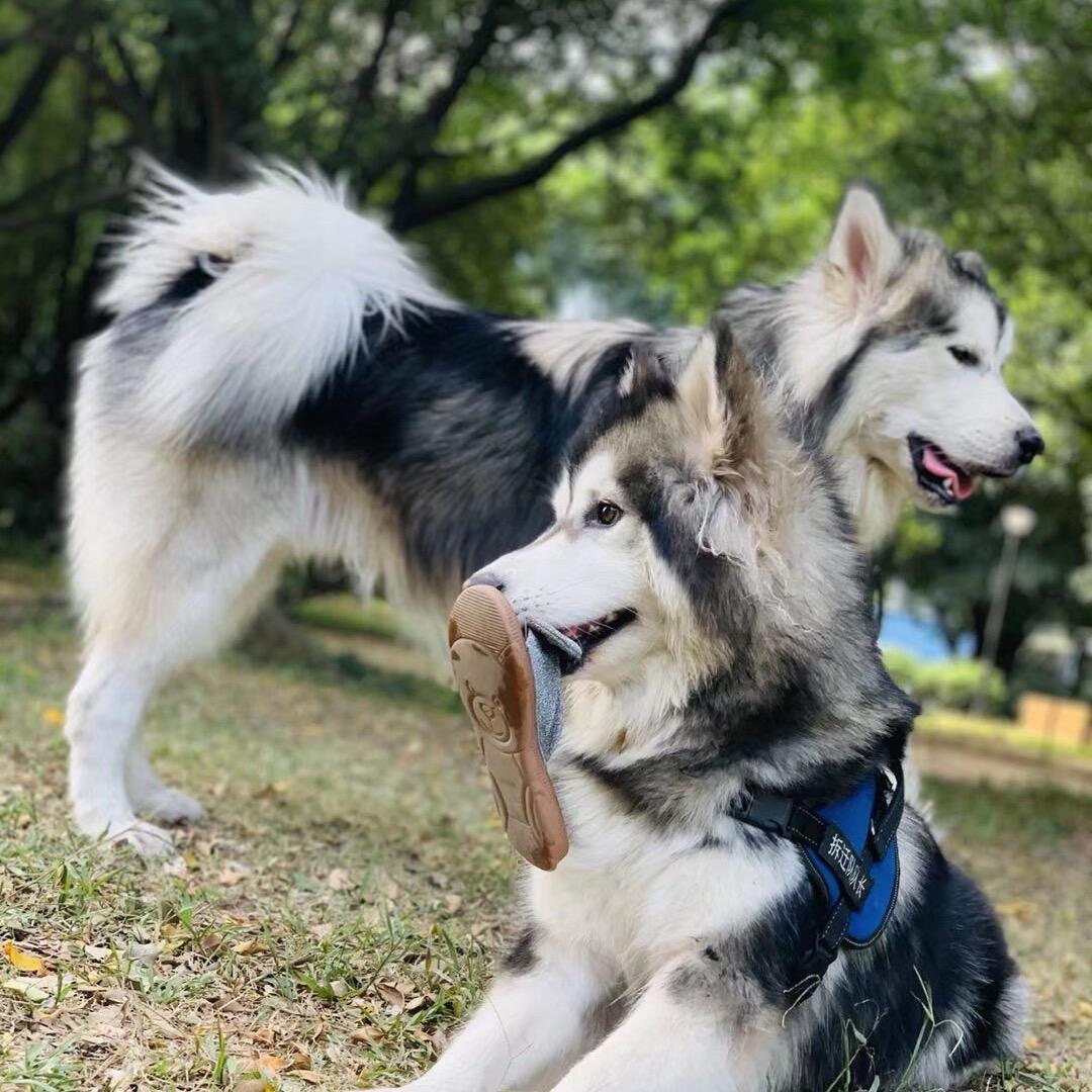 默默与九月