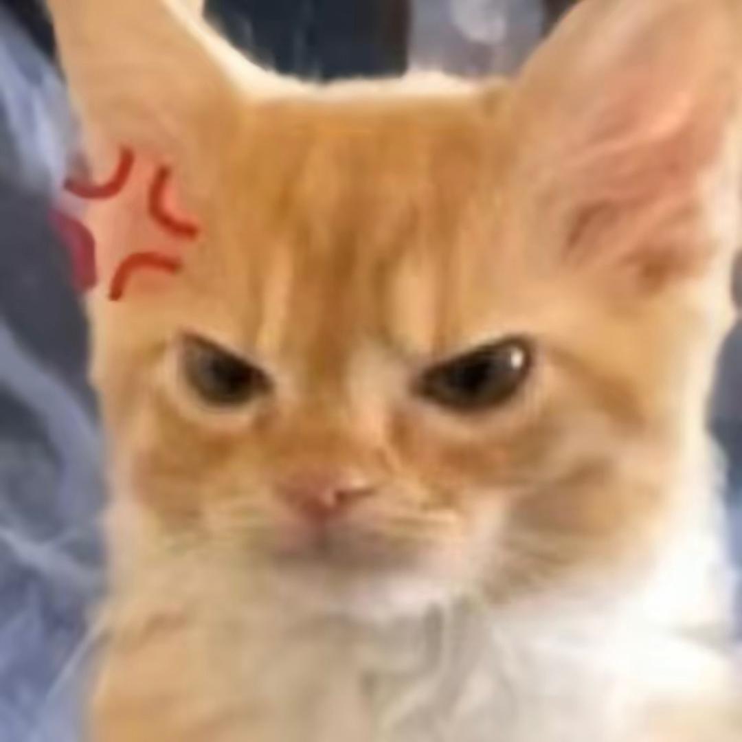 66