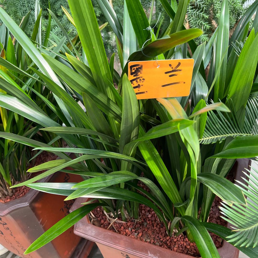 拆除记忆拒绝私聊