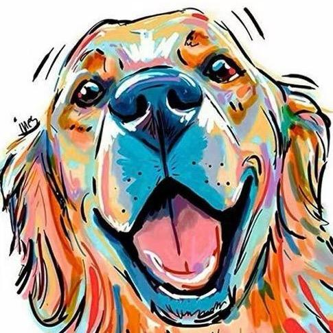 三观不正的—哈利爹（各种宠物用品）