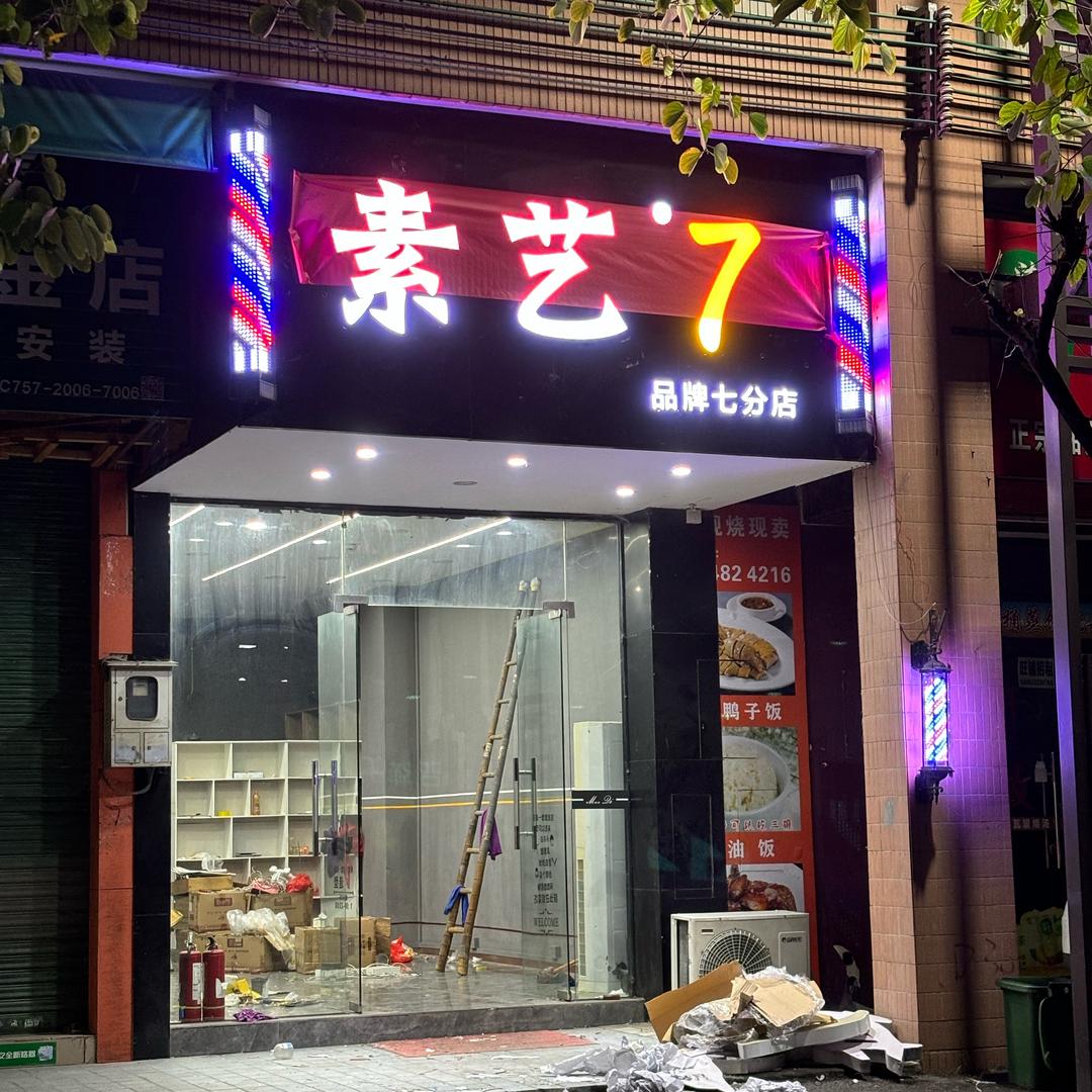 素艺.7