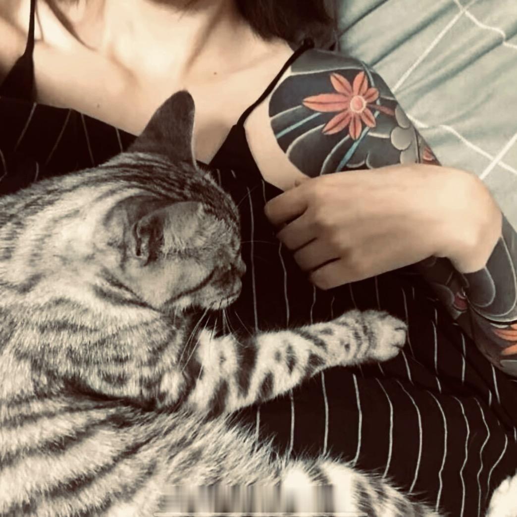 李zz.