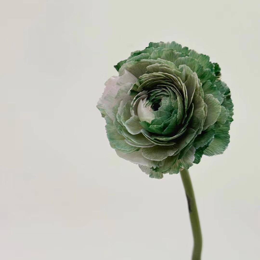 芋艿嘻