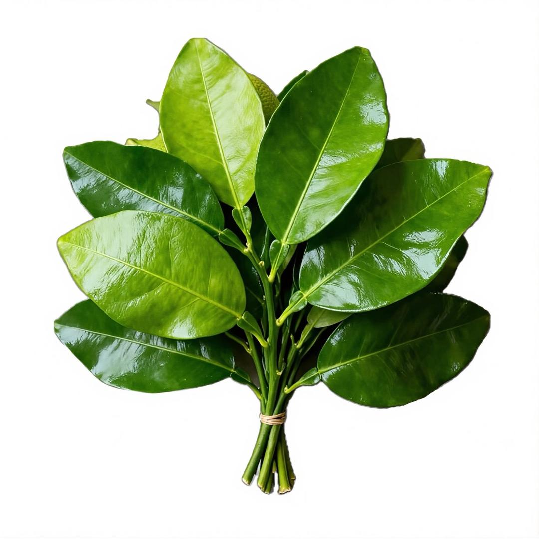 Ya雯儿（米果妈妈版）