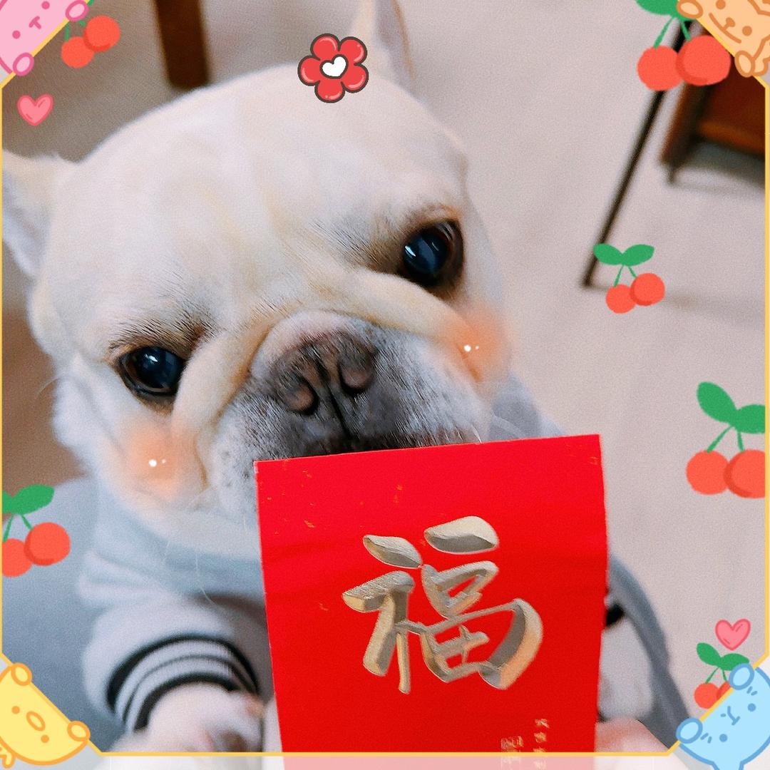 🧚‍♀️丶胡二胡✨