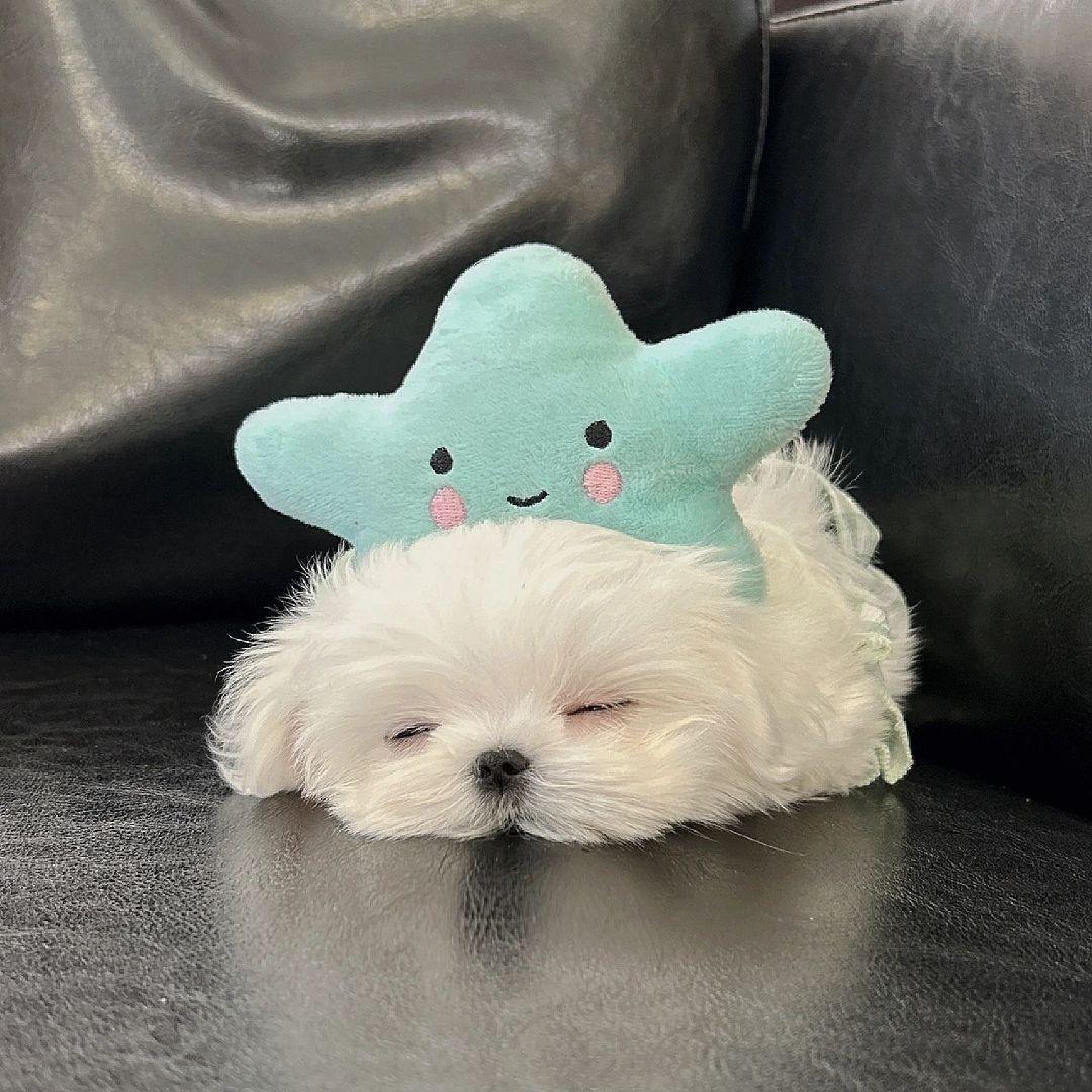 来信
