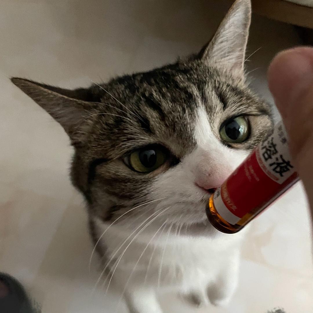 假装sm实际往死里抽