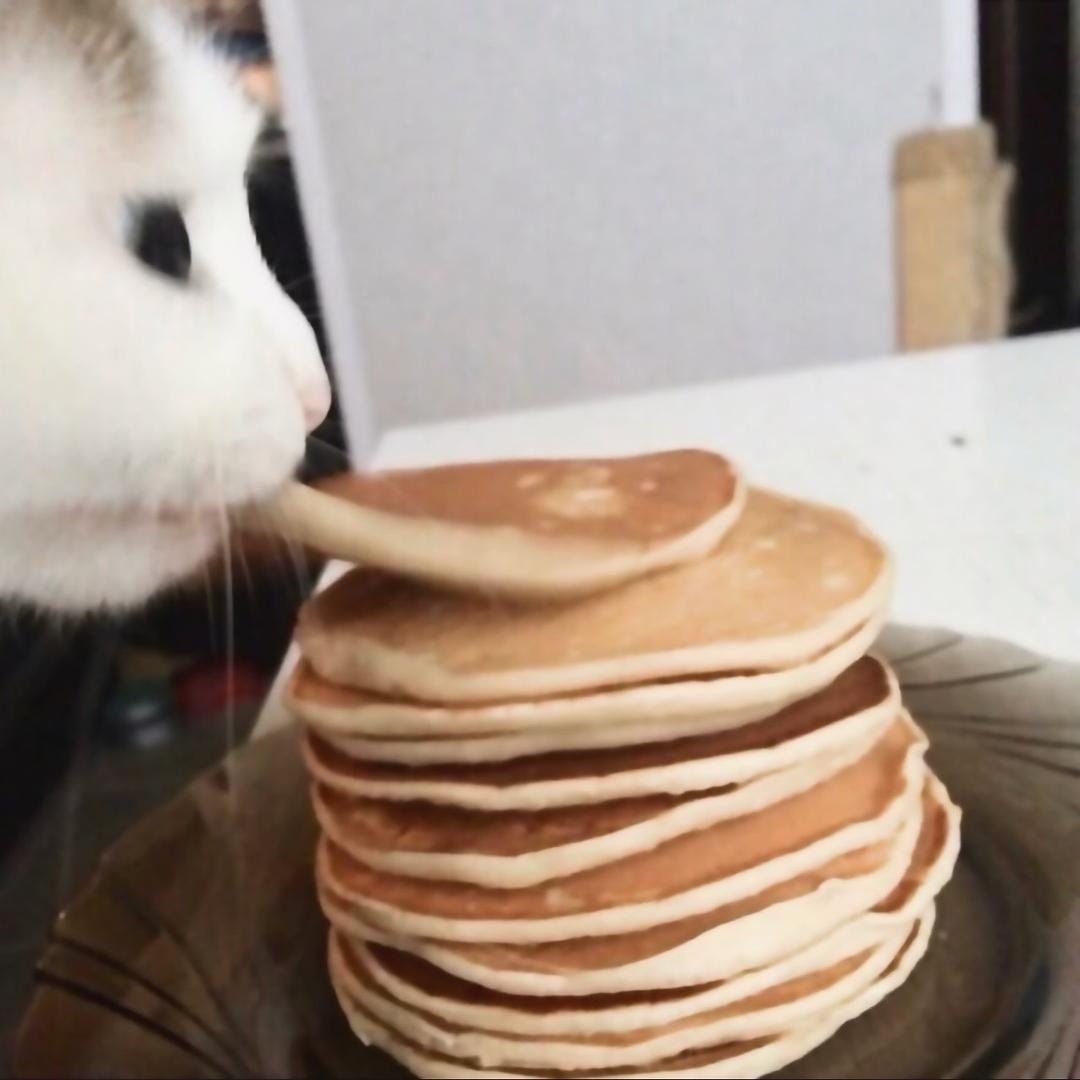 NotKatherine