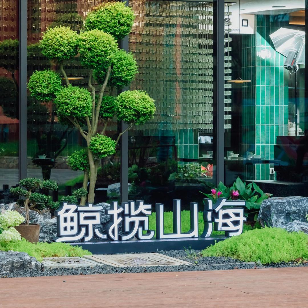 鲸揽山海宠粉1号