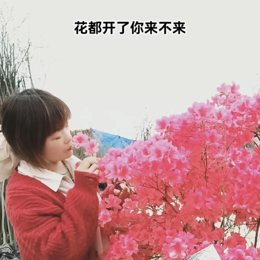 山七镇疯丫头⁵²⁰