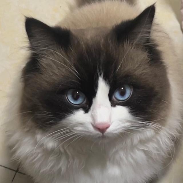 于漪