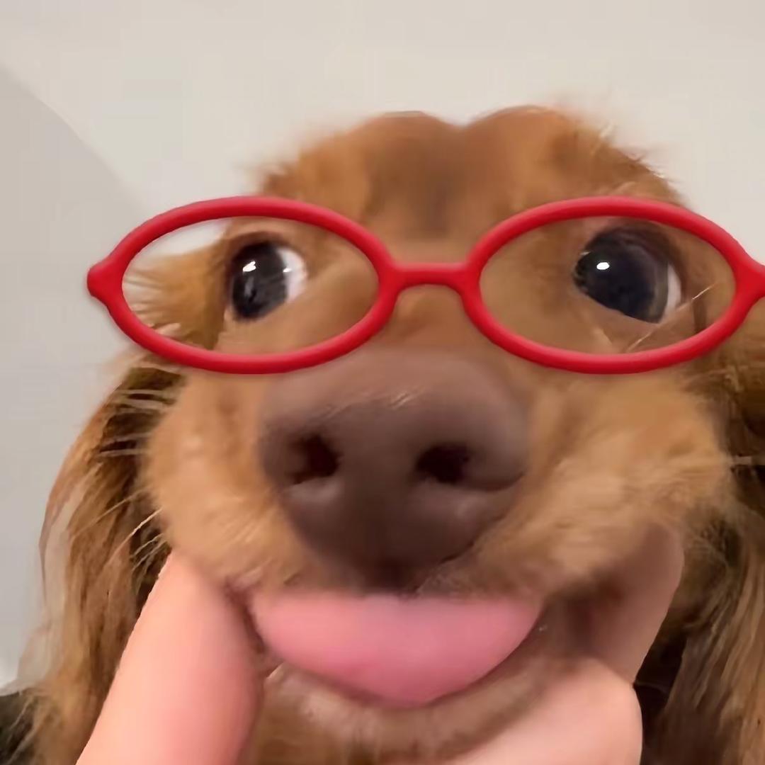 小兑/•᷅•᷄\୭