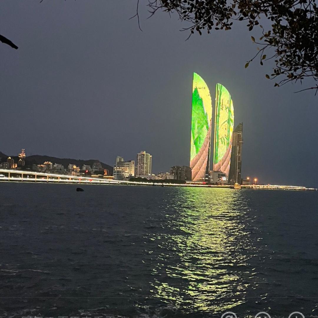 与狼共舞