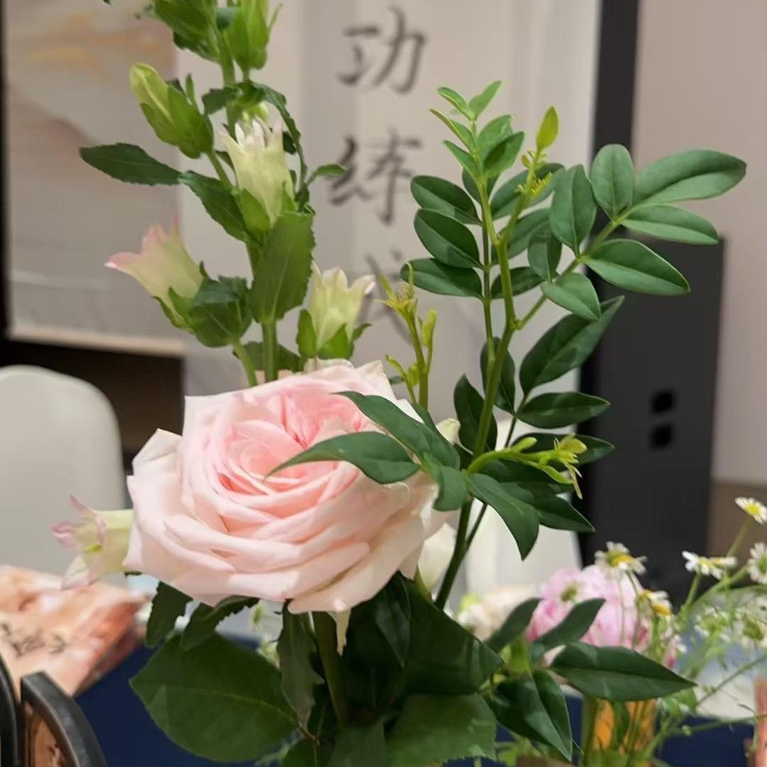 （¥女人不在浪漫¥）🧘‍♀️