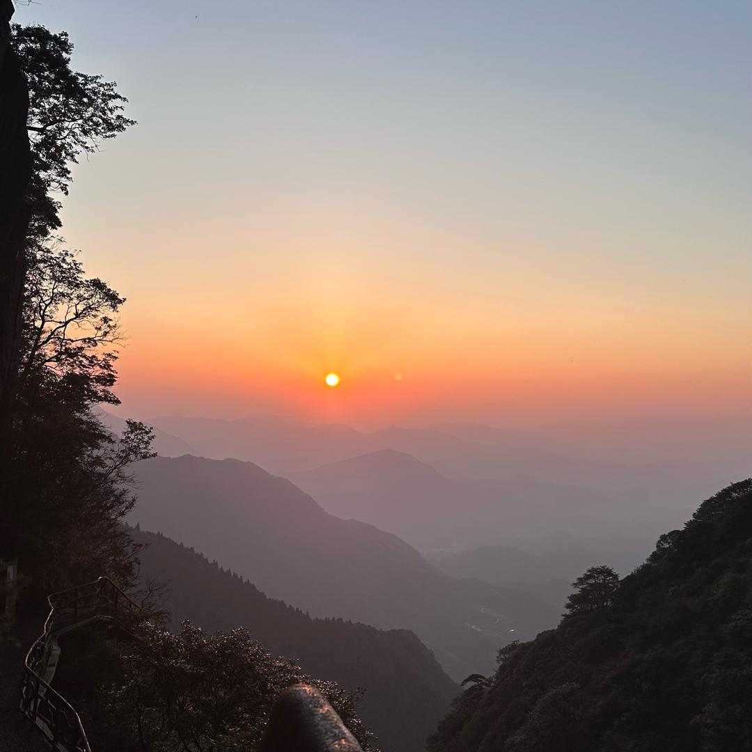 伊伊。