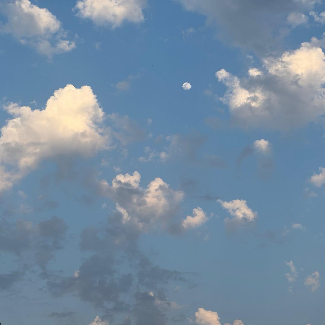 利辛春风雅园～房梦洋