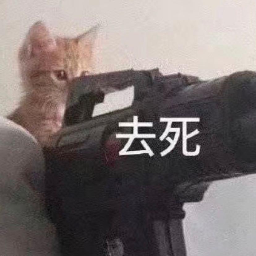 肥肥🐟🎀