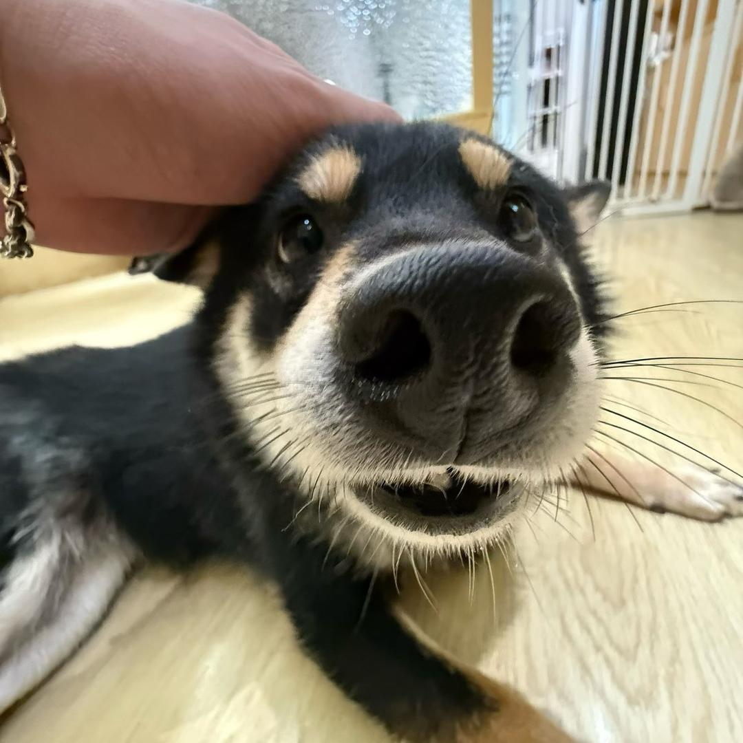 玄之又玄