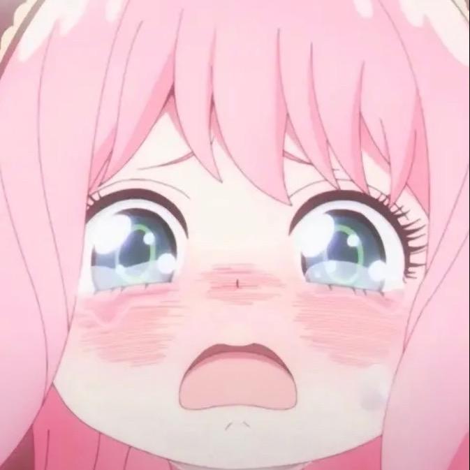 呼呼哈嘿🐽
