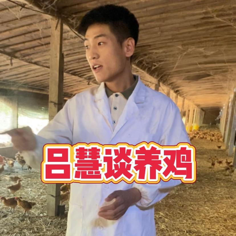 吕慧谈养鸡