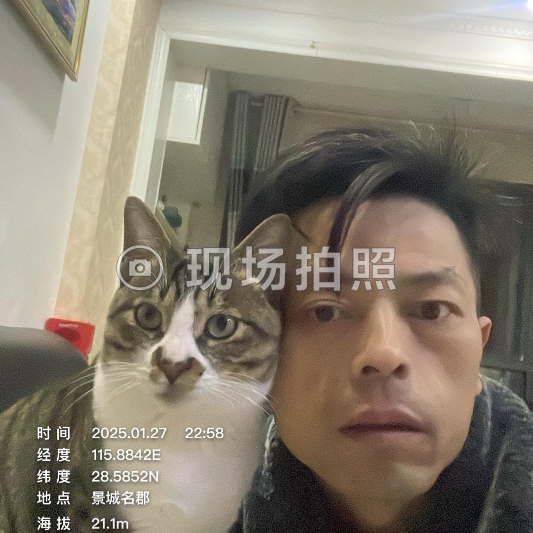 道行若水