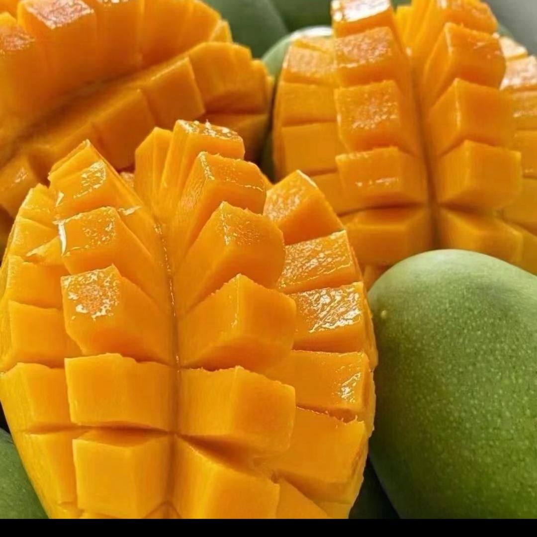 小阿鑫